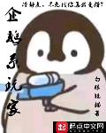 企鵝系玩家