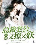 閃婚，總裁老公又撩又妖