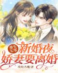 重生七零新婚夜，嬌妻要離婚