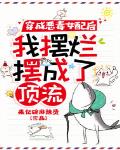 穿成惡毒女配後，我擺爛擺成了頂流