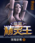 暗黑精靈王